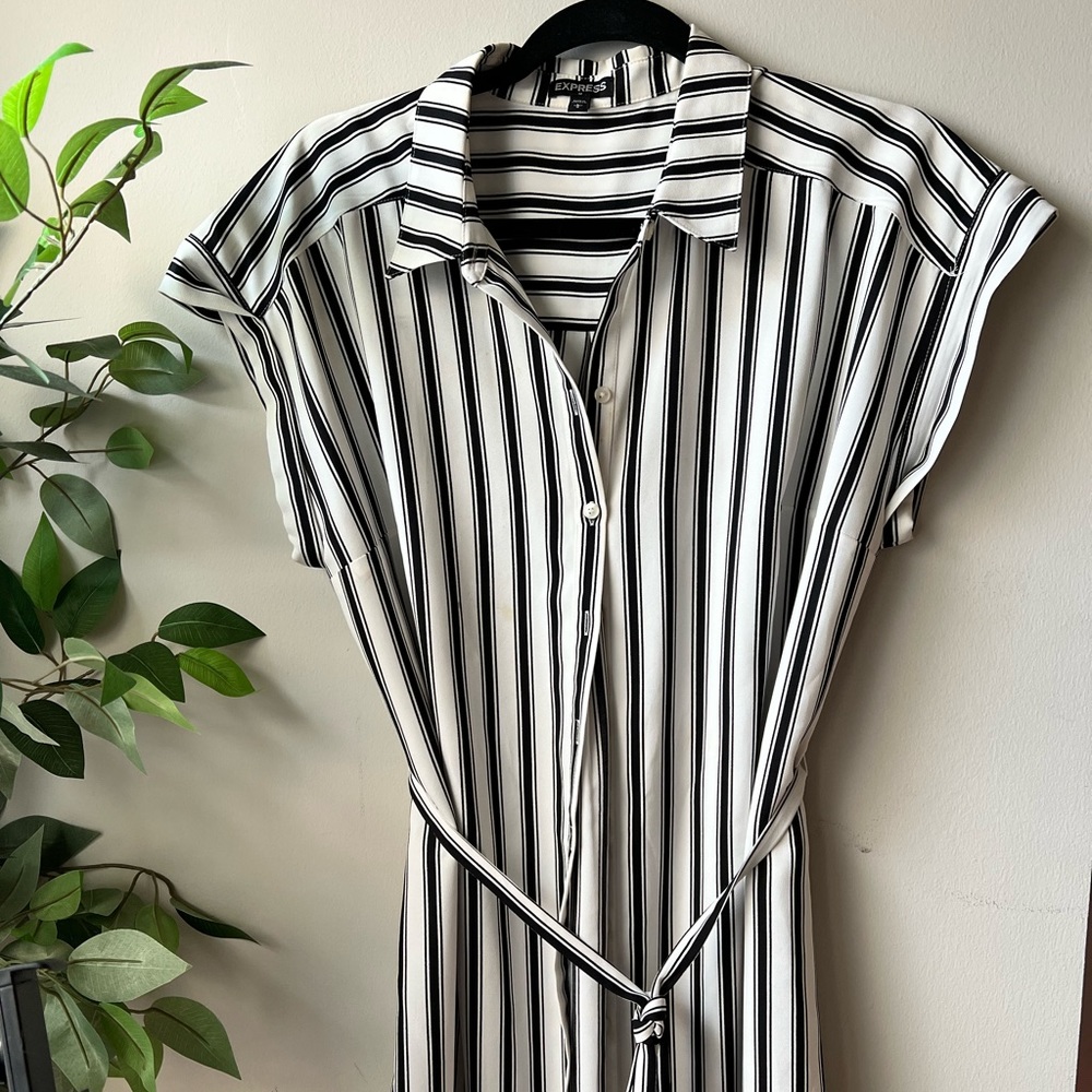 Express button down Dress Size L